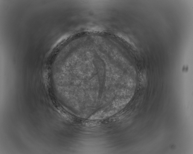 X0000094441254200712061129