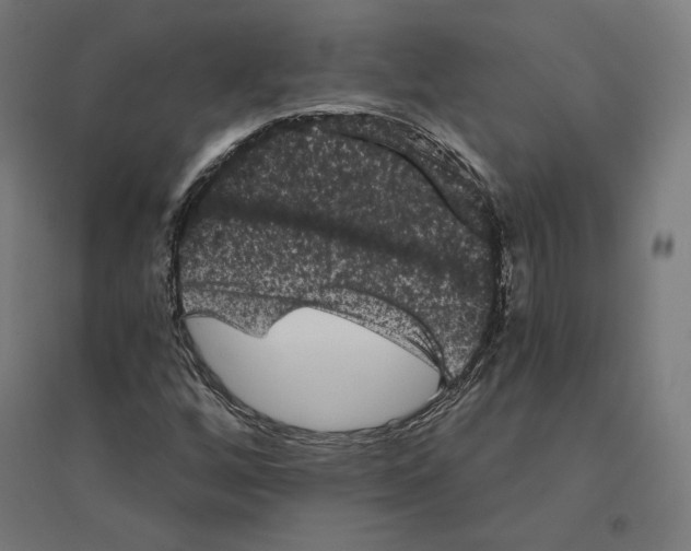 X0000094441256200712061129