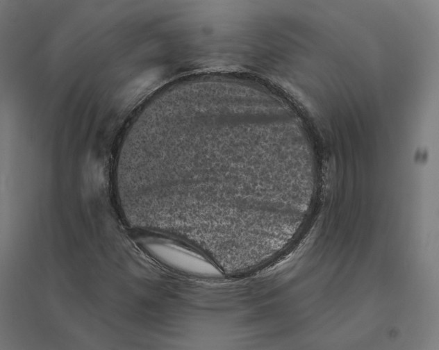 X0000094441257200712061129