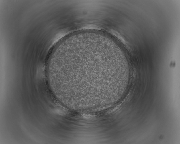 X0000094441258200712061129