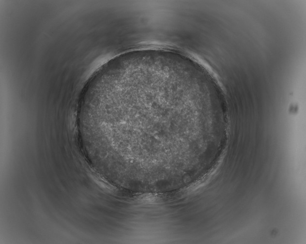 X0000094441259200712061129