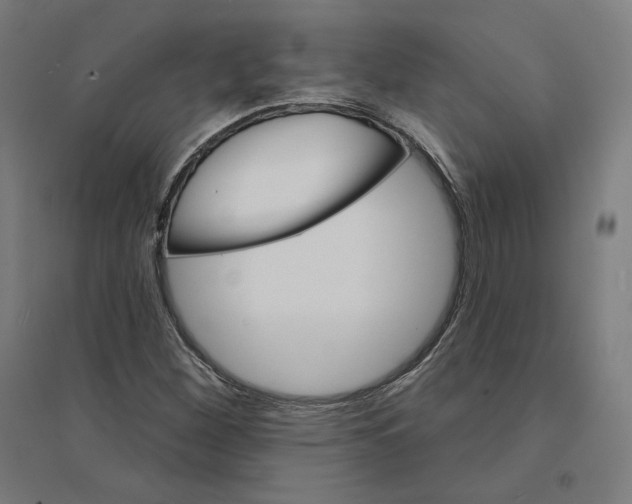 X0000094441260200712061129