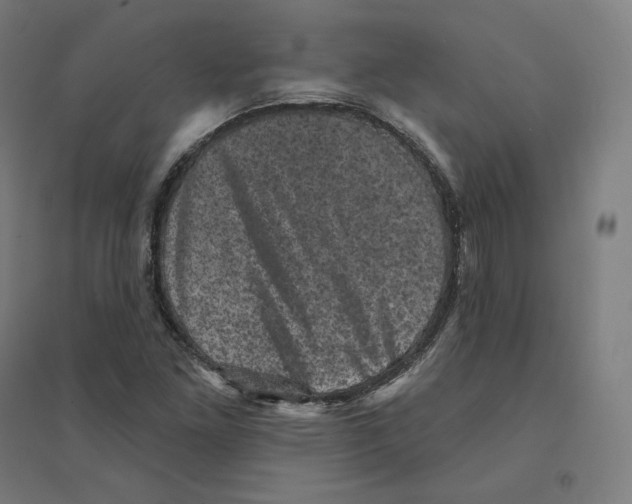 X0000094441261200712061129