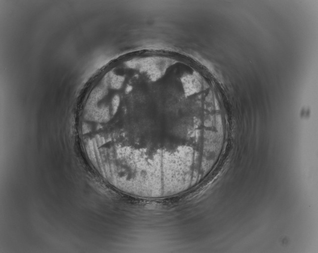 X0000094441263200712061129