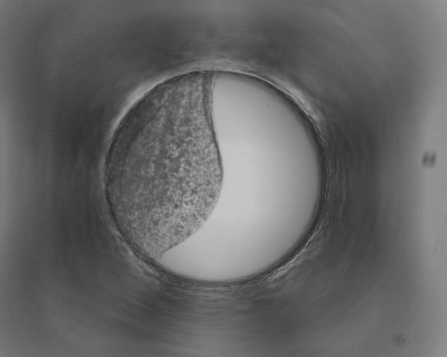 X0000094441264200712061129