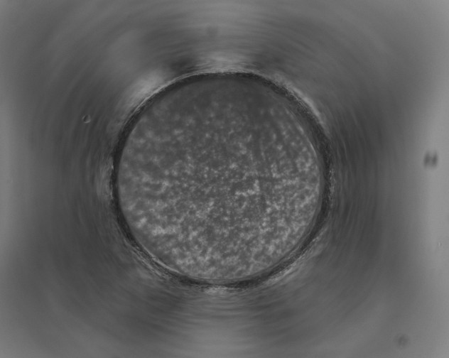 X0000094441265200712061129