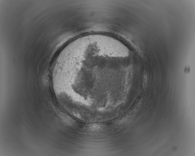 X0000094441266200712061129