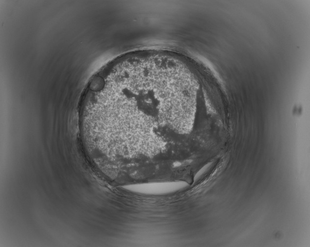 X0000094441267200712061129