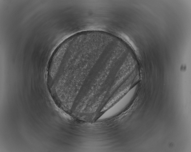 X0000094441268200712061129