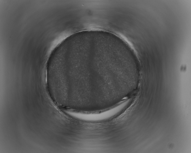 X0000094441269200712061129