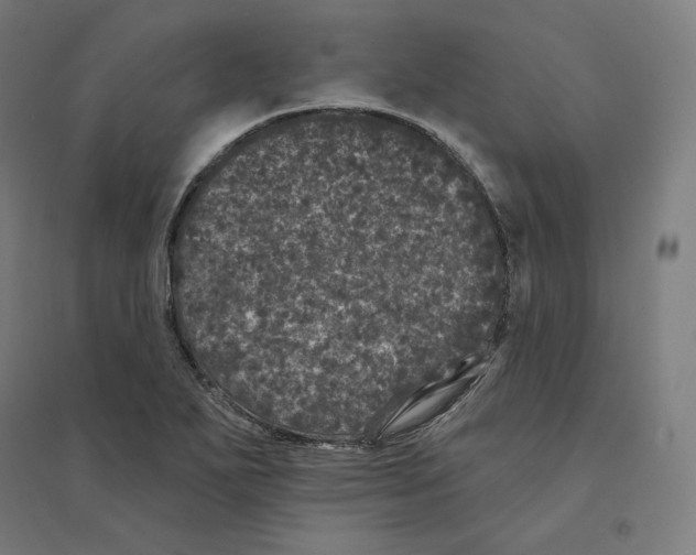 X0000094441271200712061129