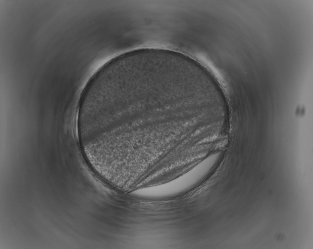 X0000094441272200712061129