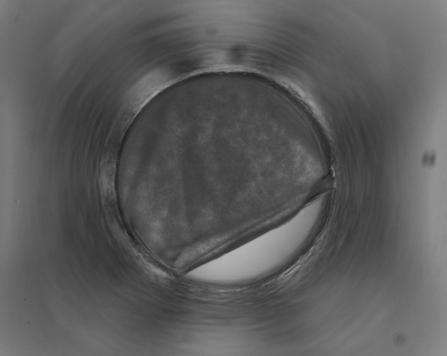 X0000094441273200712061129