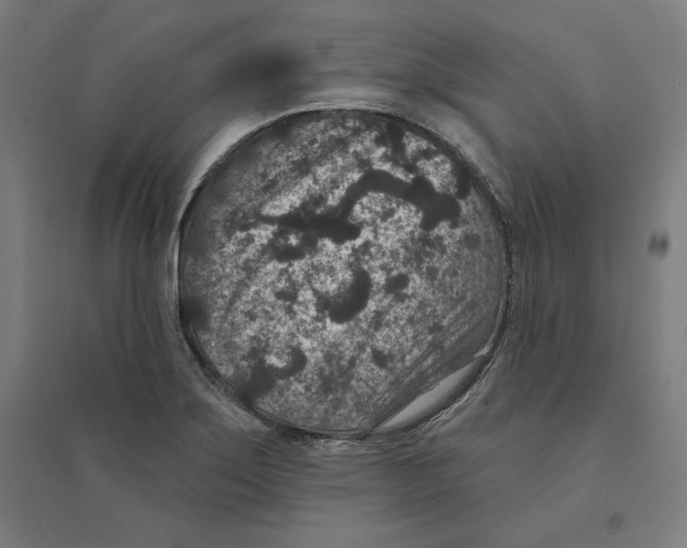 X0000094441275200712061129