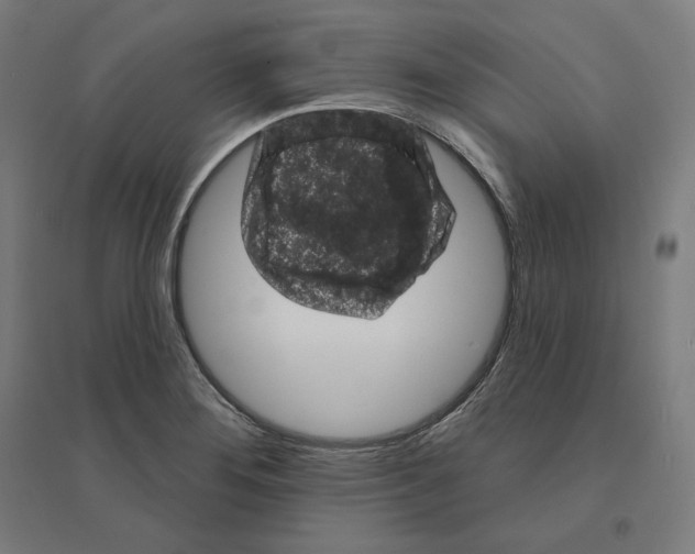 X0000094441276200712061129