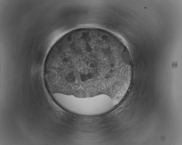 X0000094441279200712061129