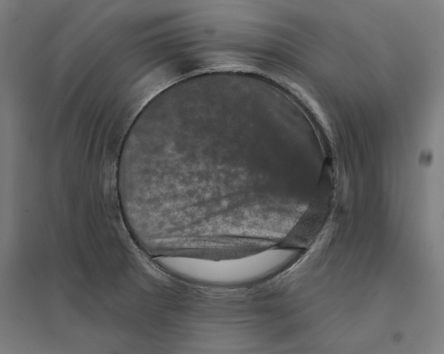 X0000094441281200712061129