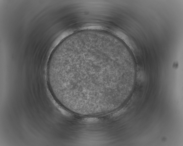 X0000094441282200712061129