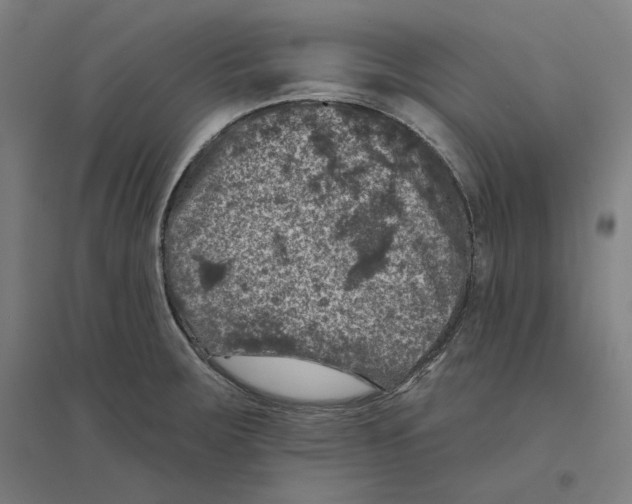 X0000094441283200712061129