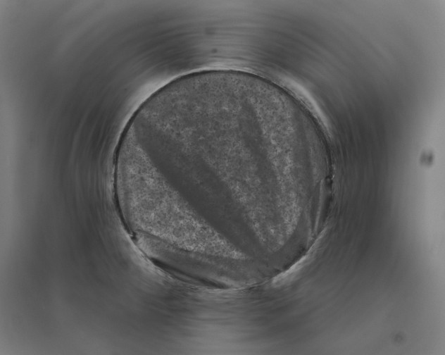 X0000094441284200712061129