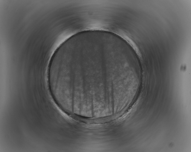 X0000094441285200712061128