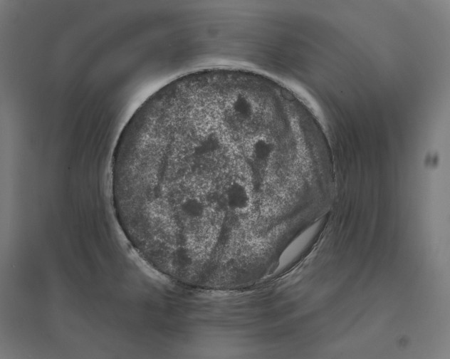 X0000094441287200712061128