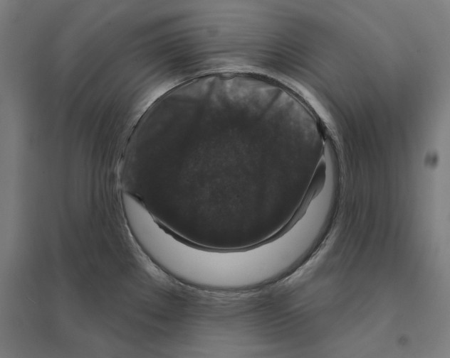 X0000094441289200712061128