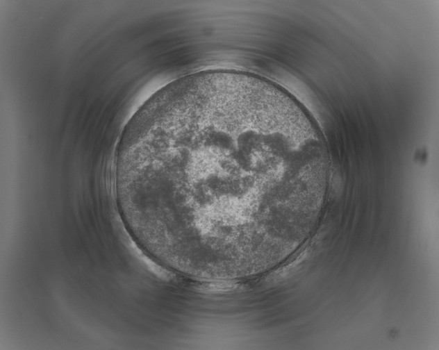 X0000094441290200712061128