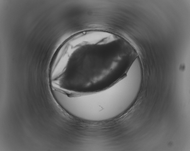 X0000094441291200712061128