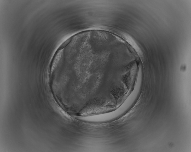 X0000094441292200712061128