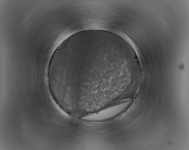 X0000094441293200712061128