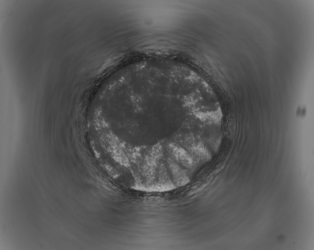 X0000094441297200712061128