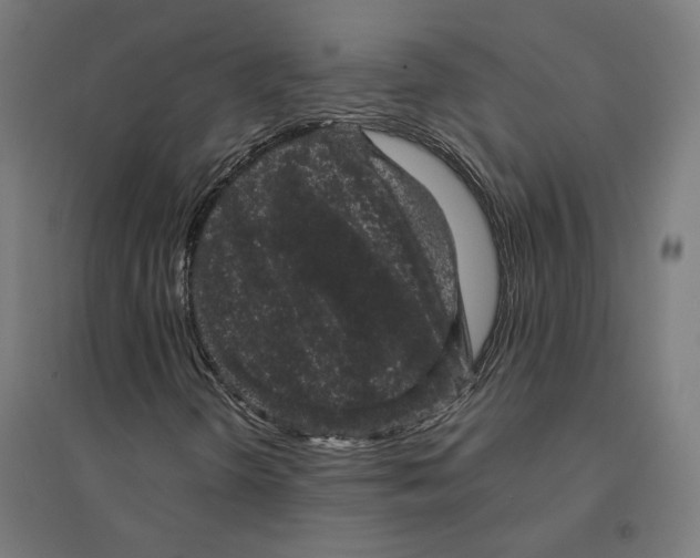 X0000094441298200712061128