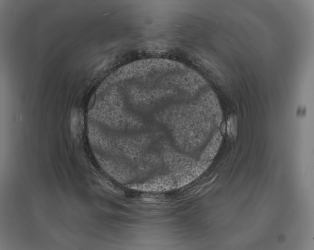 X0000094441299200712061128