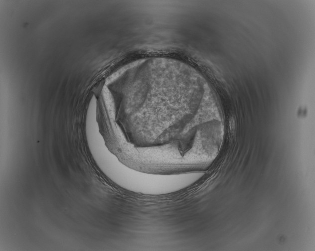 X0000094441300200712061128