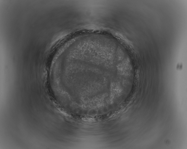 X0000094441302200712061128