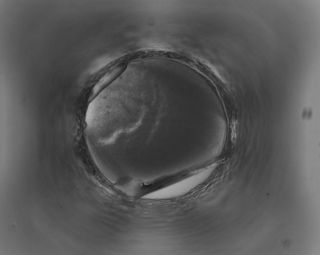 X0000094441303200712061128