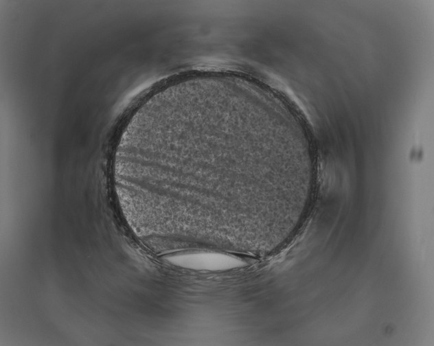 X0000094441304200712061128