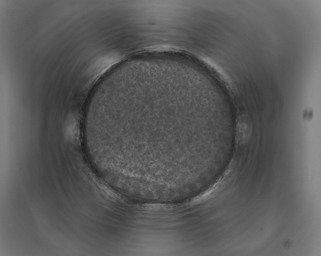 X0000094441305200712061128