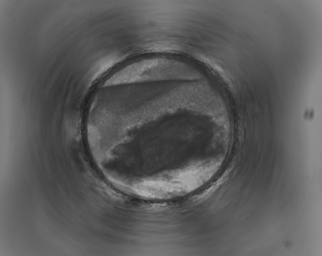 X0000094441306200712061128