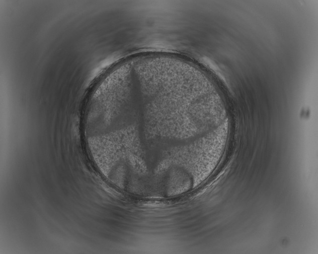 X0000094441307200712061128