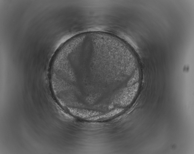 X0000094441308200712061128