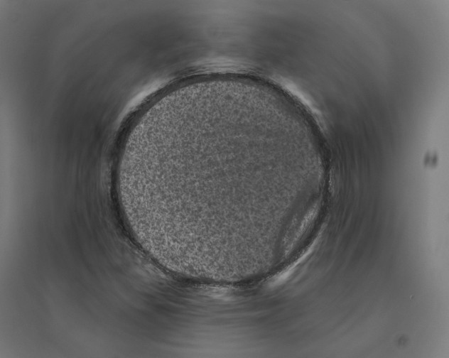 X0000094441309200712061128