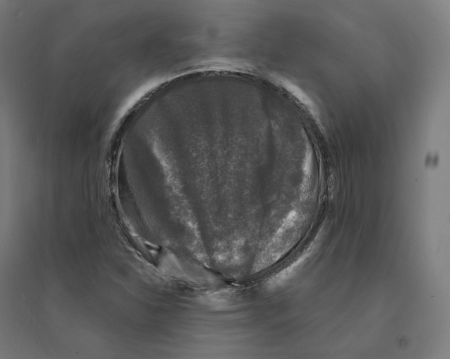 X0000094441310200712061128