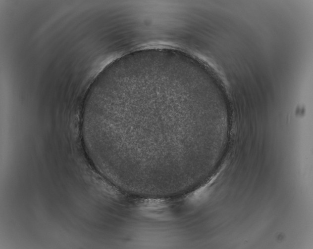 X0000094441313200712061128