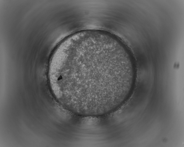 X0000094441314200712061128