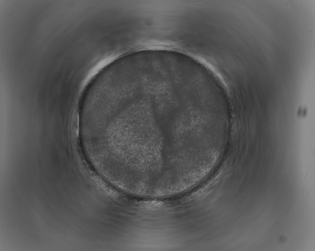 X0000094441317200712061128