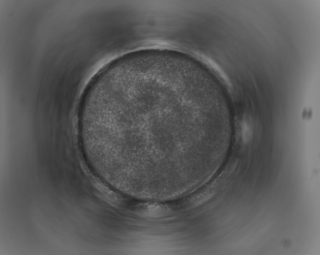 X0000094441318200712061128