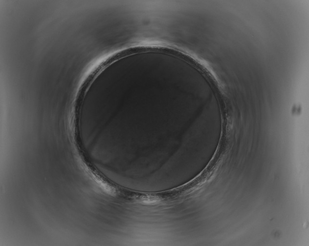 X0000094441319200712061128