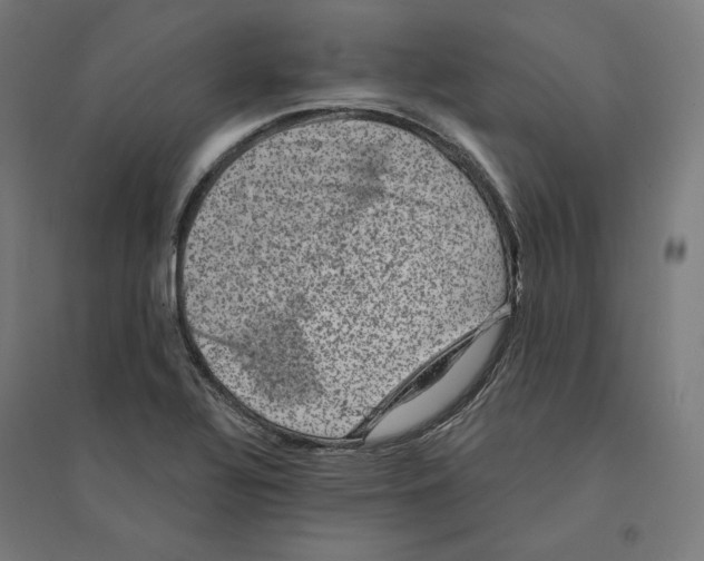 X0000094441320200712061128